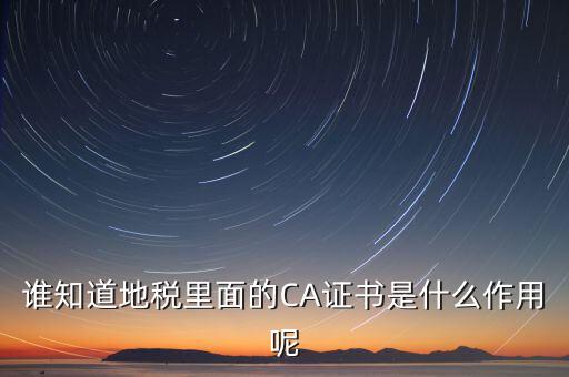 地稅安徽ca是什么意思，什么是國稅CA和地稅CA他是具體干什么用的