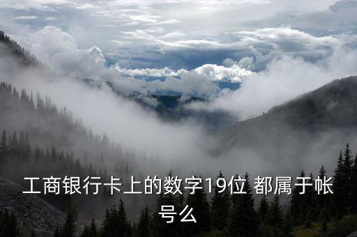 工行19位賬號(hào)應(yīng)用號(hào)是什么，請(qǐng)解釋工商銀行19位帳號(hào)的組成含義