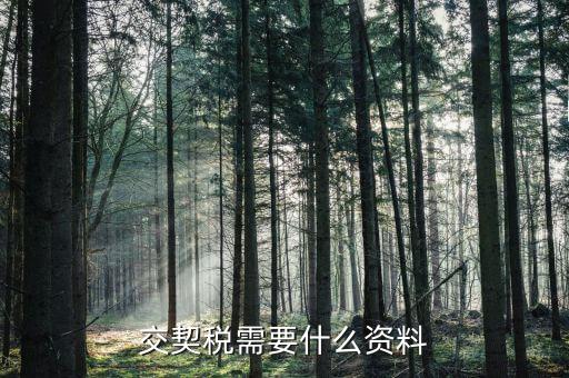 吉林市交契稅需要什么手續(xù)，交契稅需要什么資料