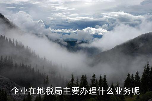 廣州地稅辦理什么業(yè)務(wù)，廣州稅務(wù)登記