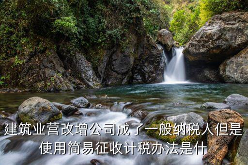 簡(jiǎn)易計(jì)稅法是什么，簡(jiǎn)易計(jì)稅法開(kāi)具的是增值稅普通發(fā)票嗎