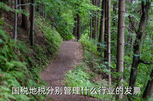 地稅涉及的行業(yè)都是什么，國稅地稅分別管理什么行業(yè)的發(fā)票