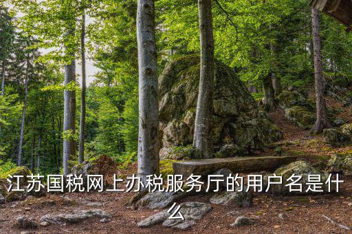 江蘇國稅用戶名密碼是什么意思，江蘇國稅網(wǎng)上辦稅服務(wù)廳的用戶名是什么
