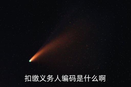 江西扣繳義務(wù)人編碼是什么，扣繳義務(wù)人編碼是什么號它和納稅人識別號是一個(gè)號嗎