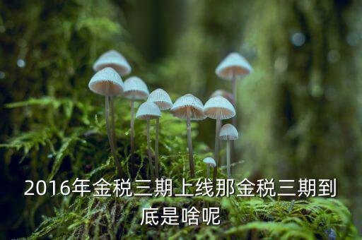 金稅三期雙軌是什么，金稅三期是什么意思