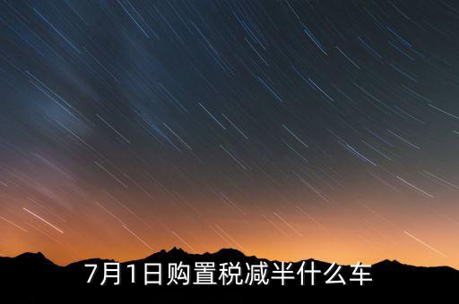 車稅減半針對什么車，101以后購車附加費減半 包含哪些車型
