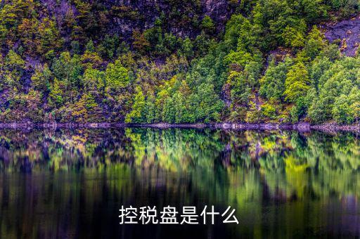 什么是金稅盤 什么是稅控盤，稅控盤的介紹