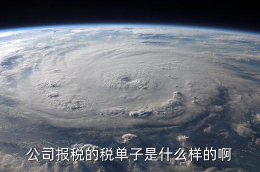 稅務(wù)清單是什么樣的，公司報(bào)稅的稅單子是什么樣的啊