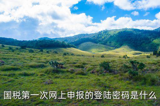 浙江國(guó)稅登入密碼是什么意思，稅務(wù)局網(wǎng)站的登入賬戶初始密碼是什么