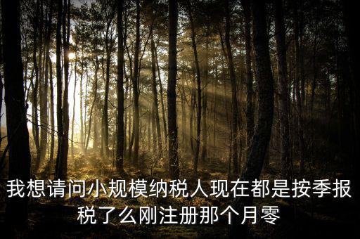小規(guī)模什么時候零申報，增值稅小規(guī)模納稅人免稅零申報的歸屬期間
