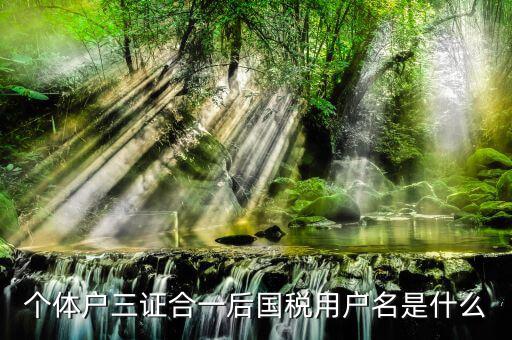 三證合一叫什么名字，個(gè)體戶三證合一后國(guó)稅用戶名是什么
