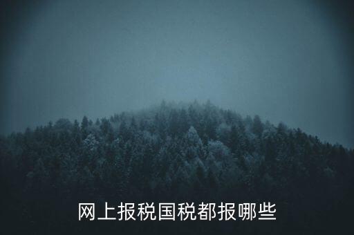 國稅云辦稅廳都報什么，你好我是新手我想問一下前輩國稅每月季年都報什么報表