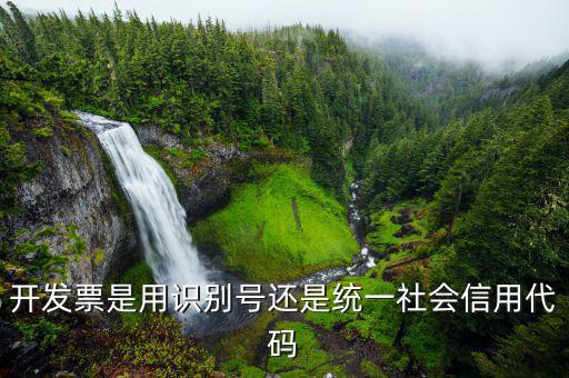 發(fā)票統(tǒng)一社會(huì)信用代碼是什么意思，開(kāi)發(fā)票是用識(shí)別號(hào)還是統(tǒng)一社會(huì)信用代碼