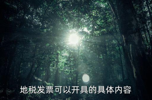 地稅發(fā)票可以開具的具體內容
