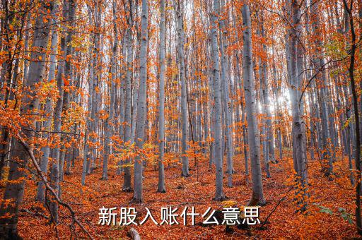 入賬機(jī)構(gòu)什么意思，銀聯(lián)入賬是什么意思