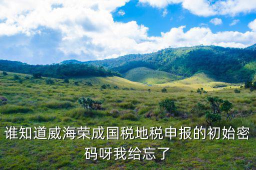 山東默認(rèn)國(guó)稅密碼是什么，登錄國(guó)稅網(wǎng)上辦稅服務(wù)廳的用戶名和密碼是什么