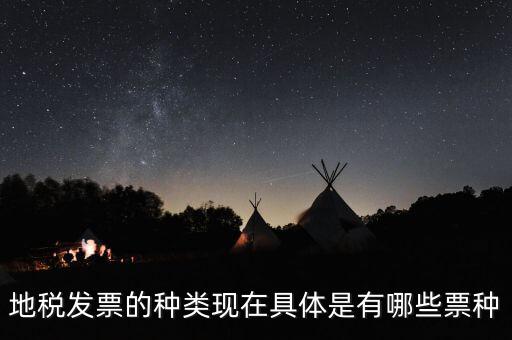 什么是發(fā)票票種，什么叫機(jī)動車票種
