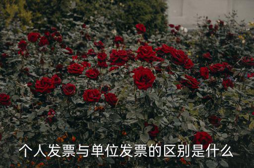 個人發(fā)票有什么內(nèi)容，個人發(fā)票與單位發(fā)票的區(qū)別是什么