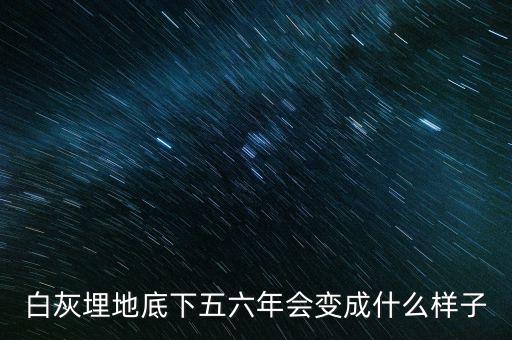 土地最底下是什么樣的，蛭石放在盆栽土壤的哪里土上還是土的最底下
