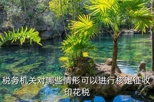 什么情況稅務機關(guān)核定，什么是稅務核定
