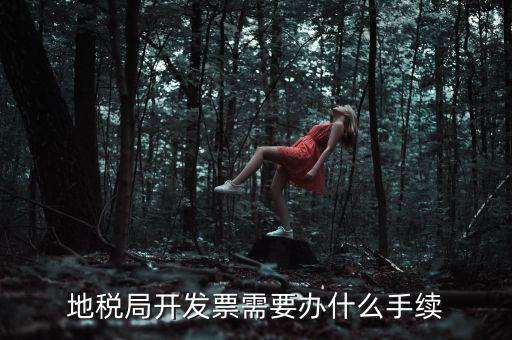 地稅申領(lǐng)發(fā)票需要什么手續(xù)，申請地稅發(fā)票需要什么資料