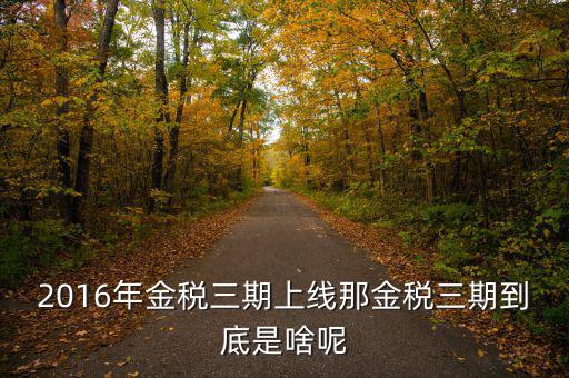 什么叫金稅三期，2016年金稅三期上線那金稅三期到底是啥呢