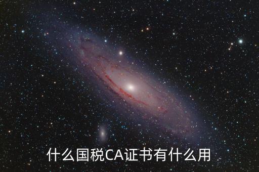 國稅ca登錄是什么，什么國稅CA證書有什么用