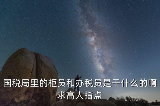 國稅志愿者可以做什么，國稅局里的柜員和辦稅員是干什么的啊求高人指點