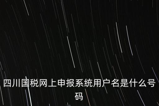 四川省地方稅務(wù)局登錄賬號(hào)是什么，在網(wǎng)上報(bào)稅登陸時(shí)用戶名是什么