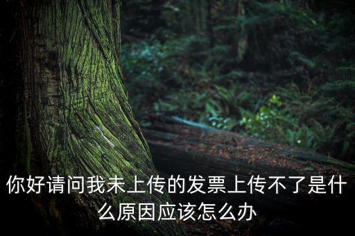 發(fā)票沒(méi)上傳什么意思，發(fā)票系統(tǒng)顯示O張未上傳發(fā)票可是在查不到提示查無(wú)此票怎么回