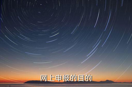 電子化辦稅什么意思，網(wǎng)上申報的目的