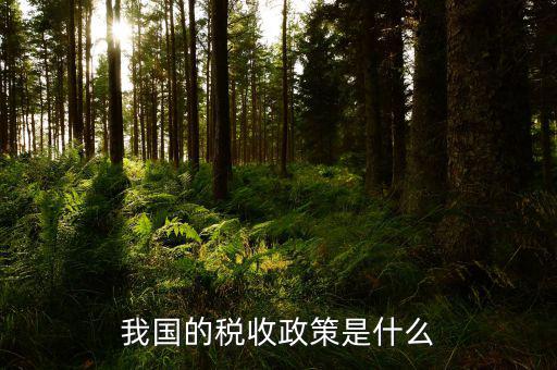 稅收屬于什么政策，我國(guó)的稅收政策是什么