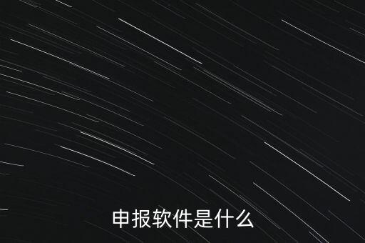 增值稅申報用什么軟件，申報軟件是什么