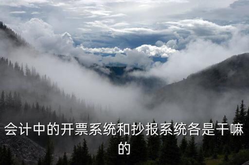 報(bào)稅開(kāi)票系統(tǒng)是什么意思，每個(gè)月一號(hào)重登金稅盤(pán)開(kāi)票系統(tǒng)是什么意思