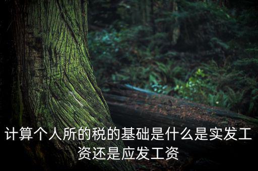 稅金的計(jì)算基礎(chǔ)是什么，計(jì)稅基礎(chǔ)是什么意思
