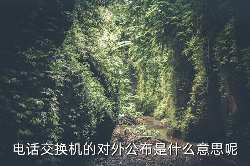 對外公開電話有什么，福建省廈門市湖里區(qū)人民法院對外公開號碼都有哪些