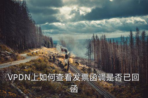 發(fā)票為什么會被復(fù)函，VPDN上如何查看發(fā)票函調(diào)是否已回函