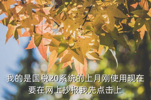 我的是國稅20系統(tǒng)的上月剛使用現在要在網上抄報我先點擊上