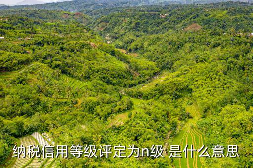 納稅信用等級(jí)b級(jí)是什么意思，納稅信用等級(jí)評(píng)定為n級(jí) 是什么意思