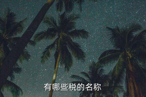 什么是稅收名稱大類，增值稅普通發(fā)票的商品名稱寫(xiě)大類稅務(wù)局能通過(guò)嗎