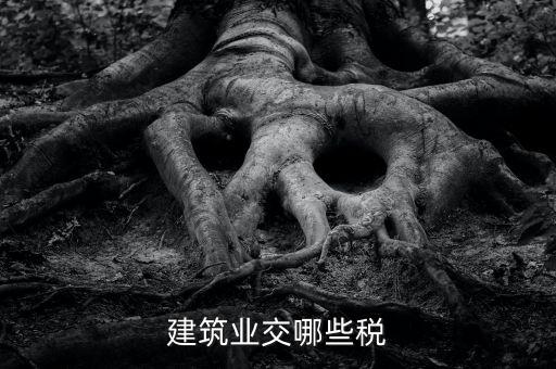 建筑設(shè)計交什么稅，建筑設(shè)計企業(yè)所得稅應(yīng)該交什么稅呀怎么抵扣