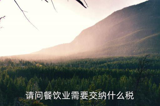 餐飲業(yè) 公司 交什么稅，餐飲企業(yè)繳納哪些稅