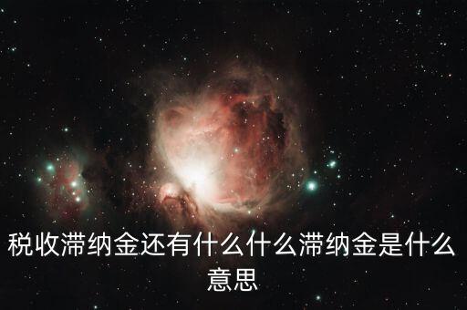 地稅滯納金是什么意思，稅收滯納金還有什么什么滯納金是什么意思