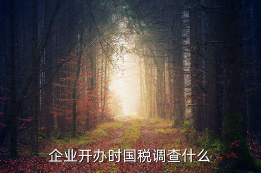 國稅稅收調查調查什么，國稅三稅調查是指哪三稅