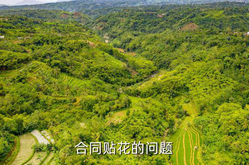 為什么合同不貼花，繼續(xù)使用已到期合同無(wú)需貼花怎么理解