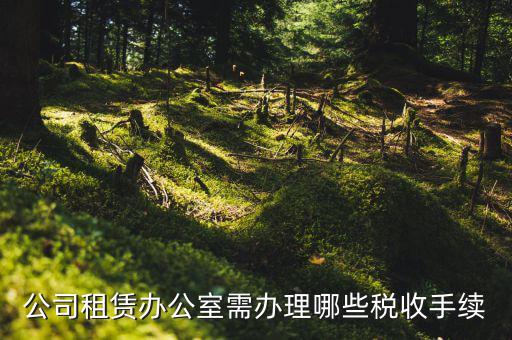程租辦公室要繳什么稅，公司租賃辦公室需辦理哪些稅收手續(xù)