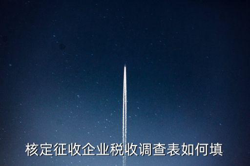 什么企業(yè)填稅收調(diào)查表，核定征收企業(yè)稅收調(diào)查表如何填