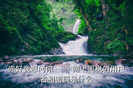 浙江國(guó)稅登陸密碼是什么，稅務(wù)局網(wǎng)站的登入賬戶初始密碼是什么