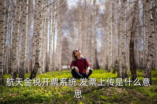 航天金稅是什么，航天金稅接口是什么意思呢