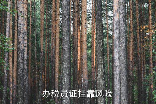 實名辦稅員有什么風(fēng)險，里面有個辦稅人要填我的名字會不會付法律責(zé)任有什么風(fēng)險沒